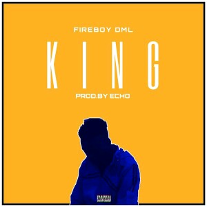 [MUSIC] Fireboy DML – King 16