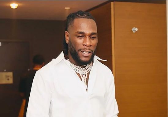 “Nobody Hates You, You’re Just Proud Sir” – Nigerians Blast Burna Boy For Saying People Hate Him 29