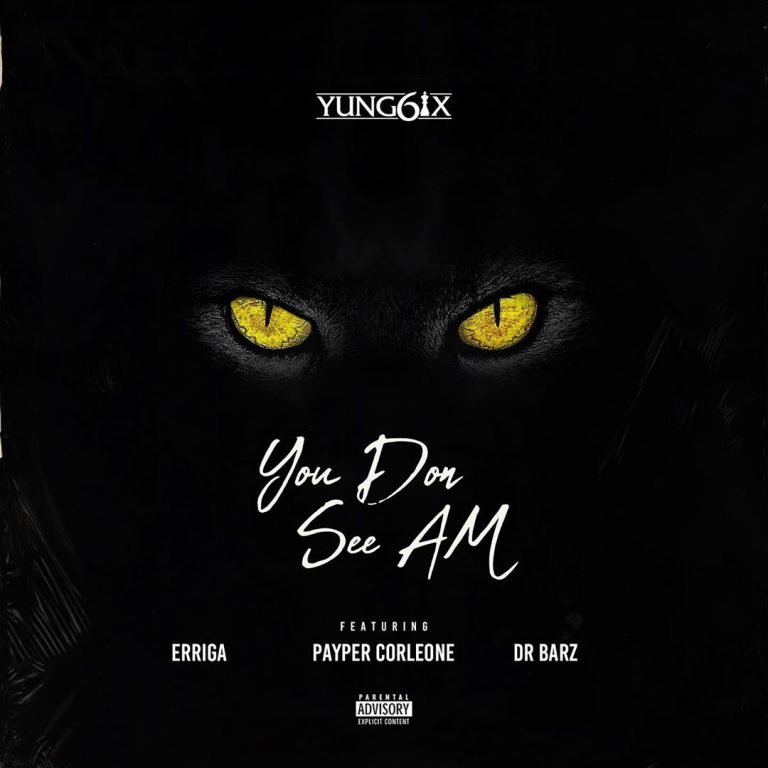 [Music] Yung6ix – You Don See Am ft. Erigga, Payper Corleone, Dr Barz 19