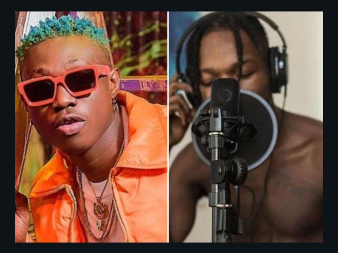 You Need A Dope Verse To Complete Your Song, Who Would You Choose Between Zlatan & Naira Marley? 17