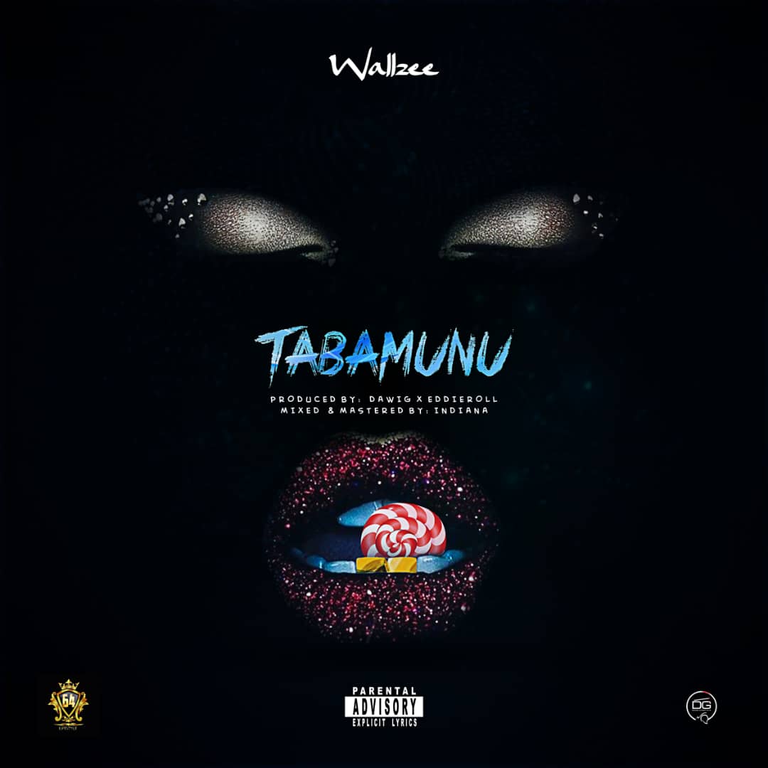 Wall Zee -"Tabamunu" 12