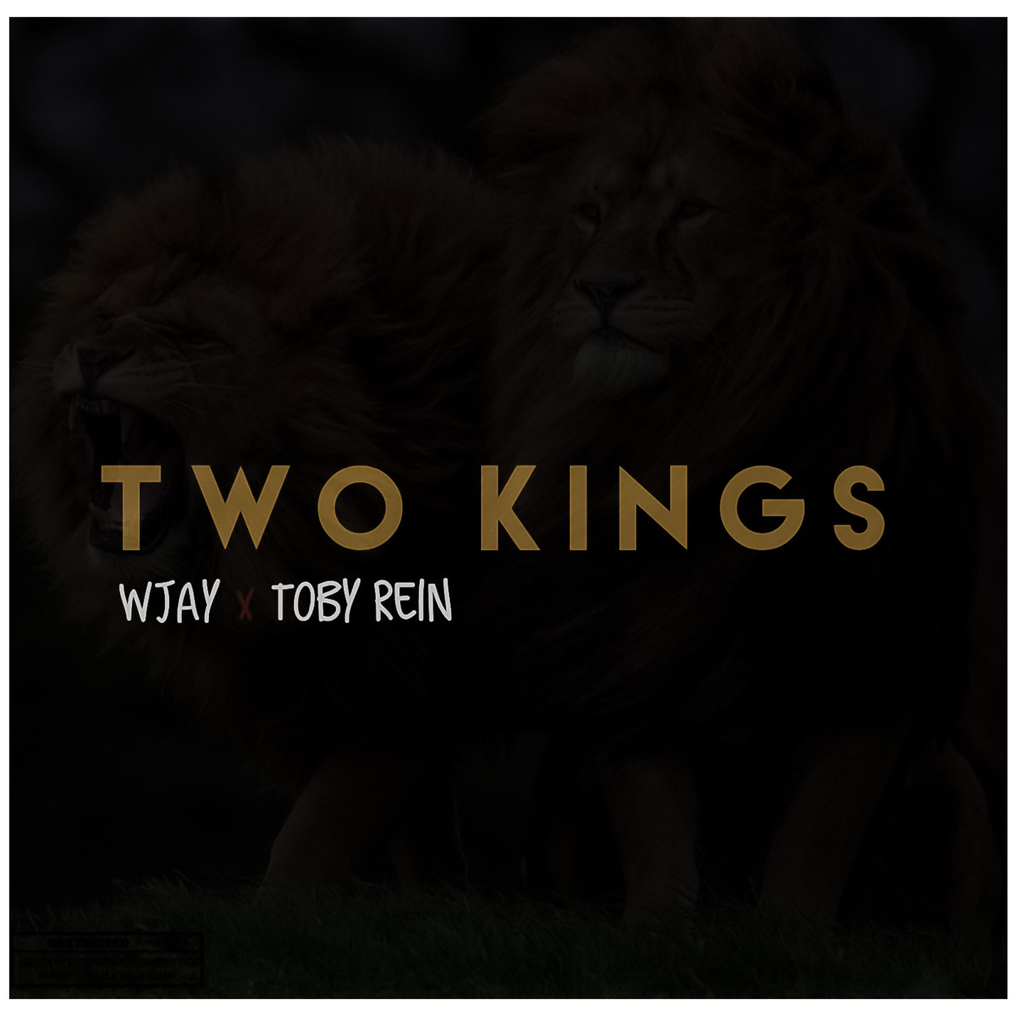 Wjay -"Two Kings" Ft Toby Rein 4