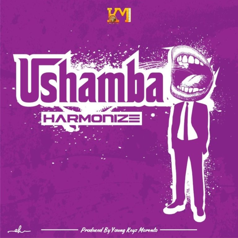 [Video + Audio] Harmonize – “Ushamba” 3