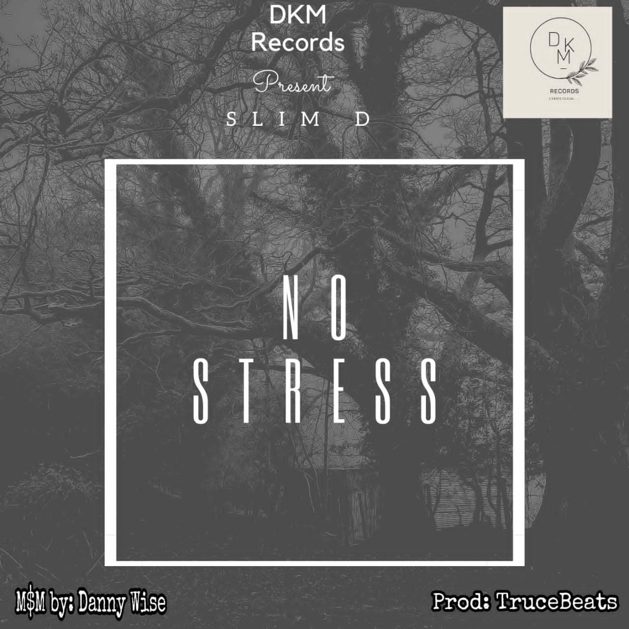 Slim D - "No Stress" (prod. Danny Wise) 3