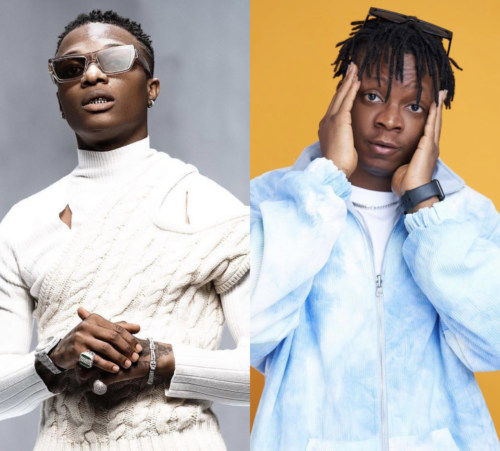 Fan Weeps After Seeing Starboy Terri In Lagos, Calls Out Wizkid 53