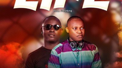 VDJ Harry ft. Freshking – “Life” 2