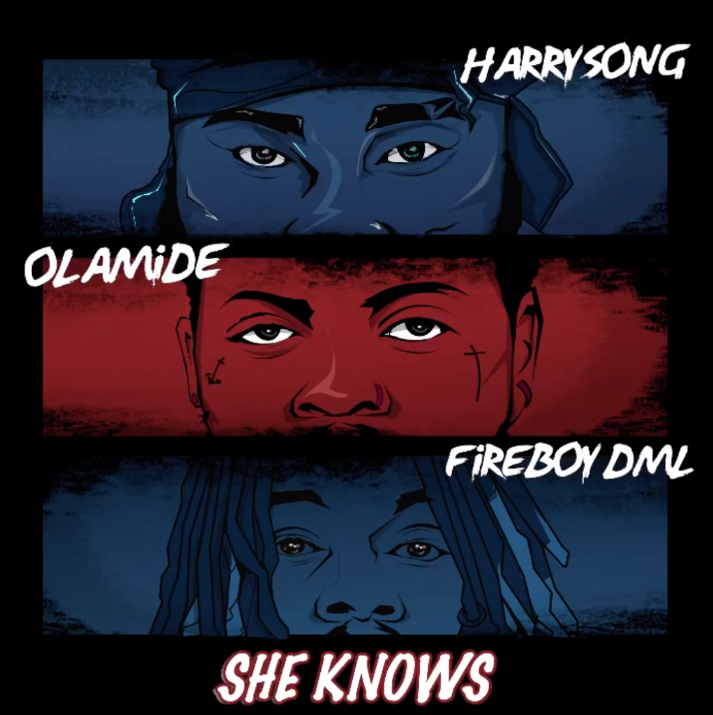 Harrysong – “She Knows” ft. Fireboy DML x Olamide 16