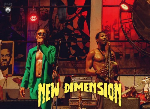 Laycon – New Dimension ft. Made Kuti 17