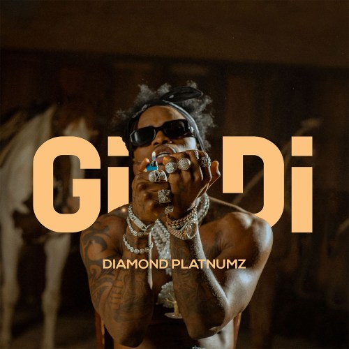 Diamond Platnumz – Gidi [Mp3 + Video] 2