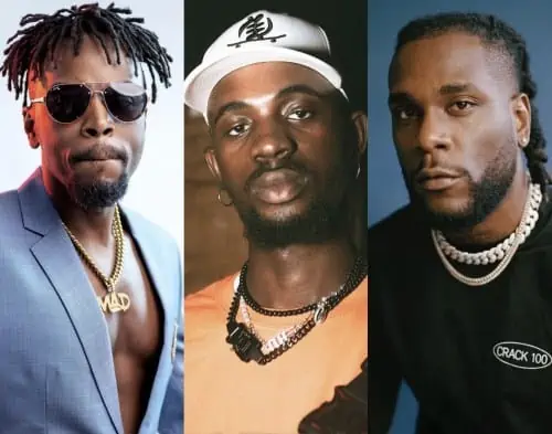 Burna Boy Called Out For Not Fulfilling His Promise To Take Black Sherif On Tour 38