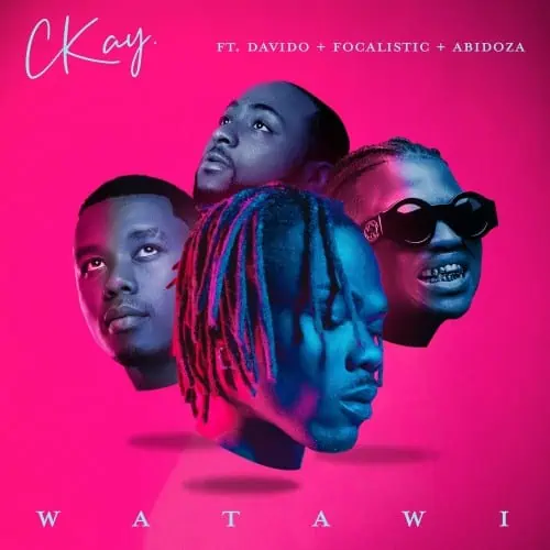 CKay – WATAWI ft. Focalistic, Davido, Abidoza 12