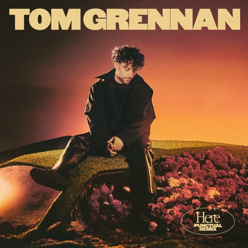 Tom Grennan Here (Punctual Remix) Mp3