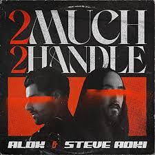 Alok & Steve Aoki 2 Much 2 Handle Mp3 Download