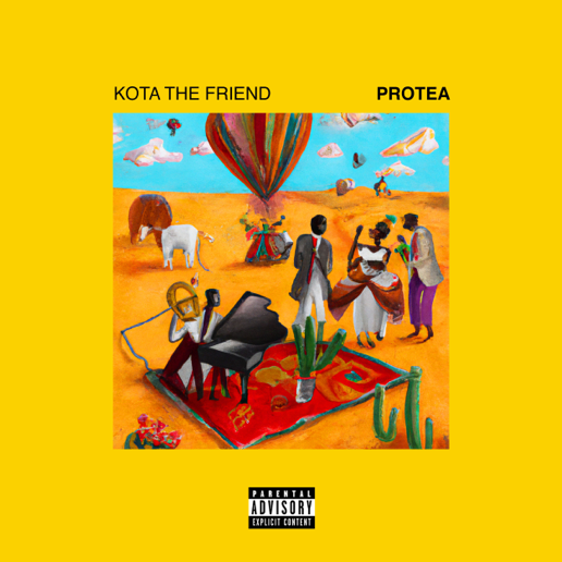 Kota the Friend - Protea 2