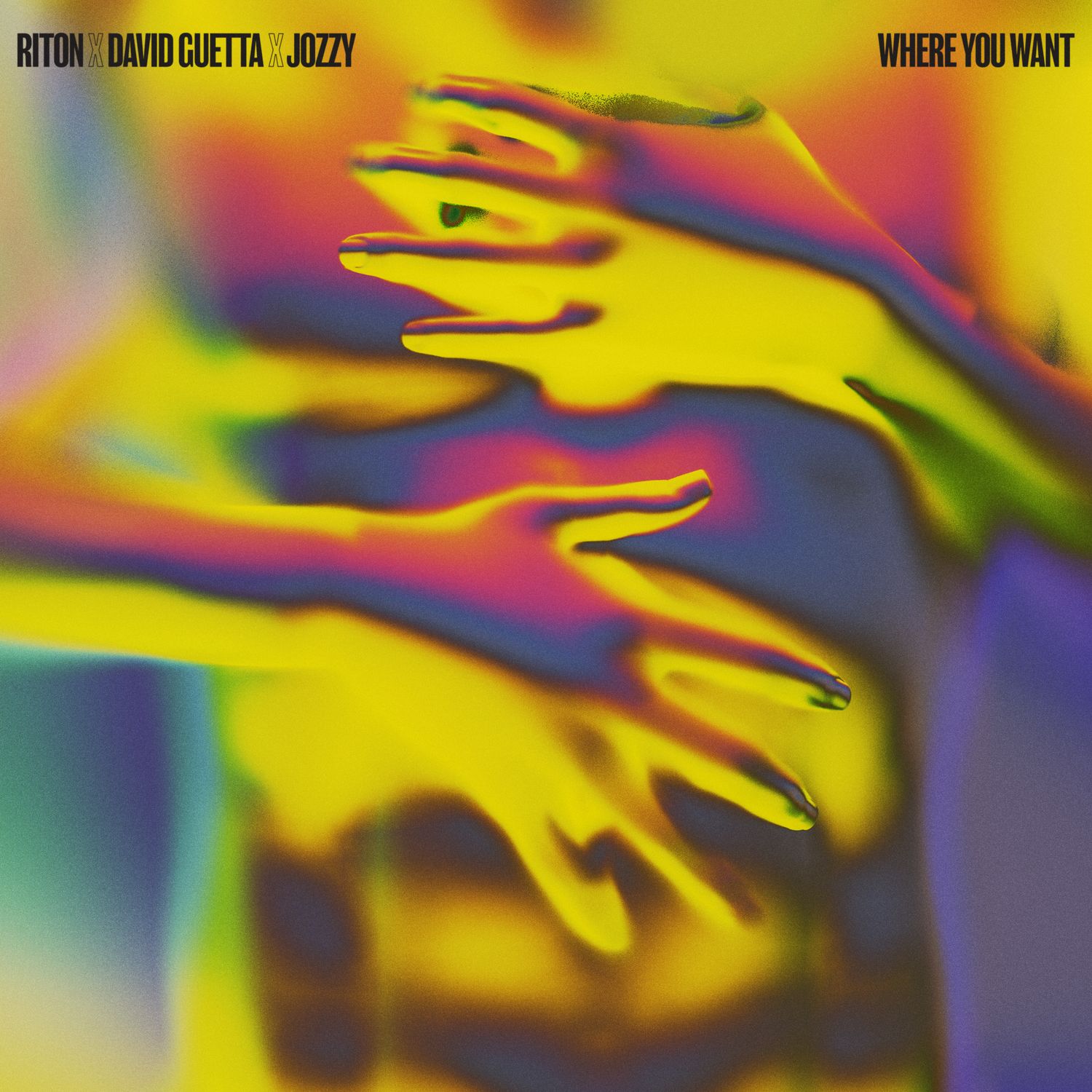 Riton, David Guetta & Jozzy – Where You Want 1