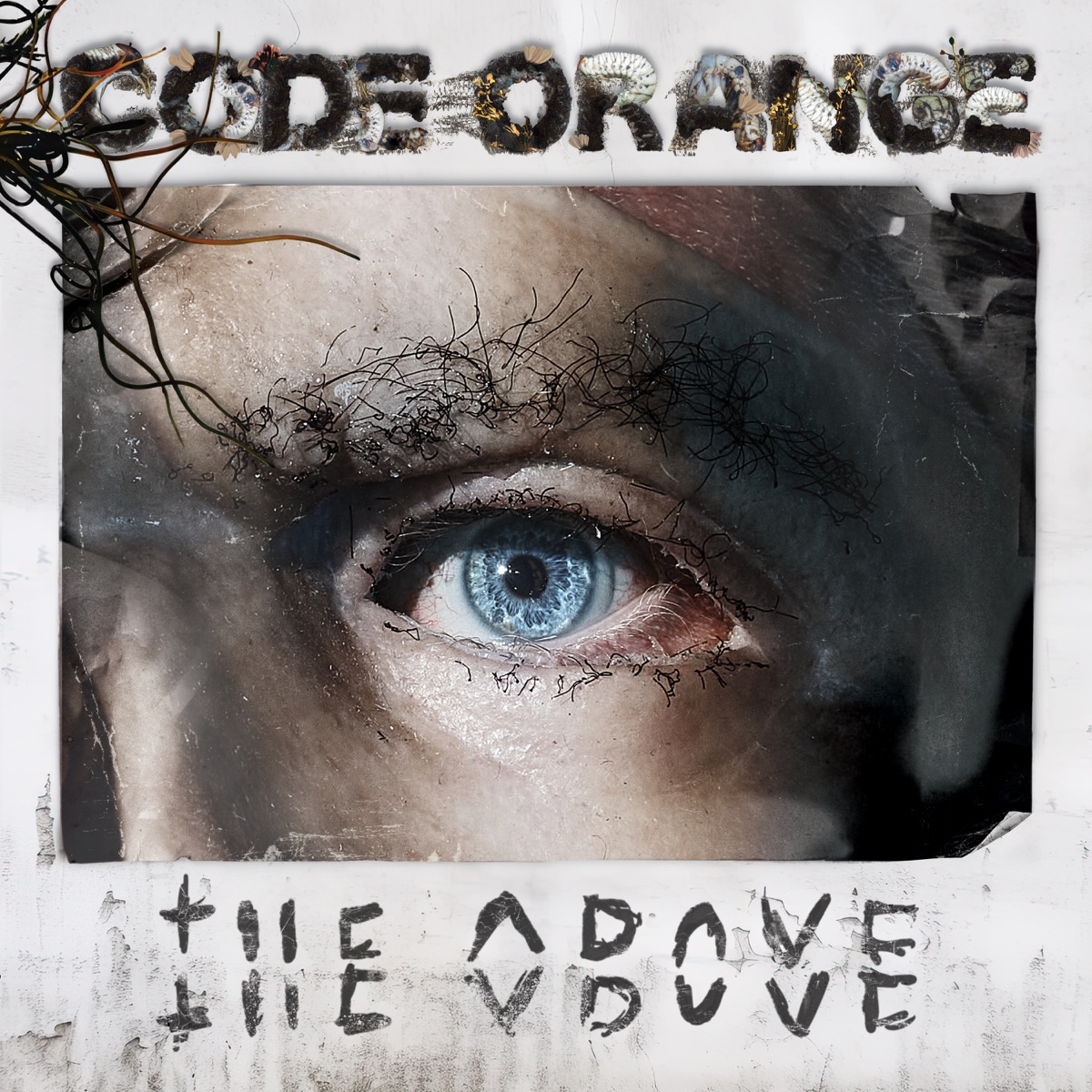 Code Orange – Take Shape Ft. Billy Corgan 3