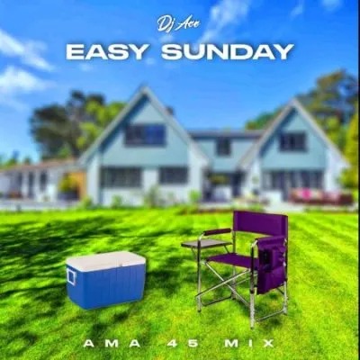 DJ Ace – Easy Sunday (AMA 45 MIX) 7