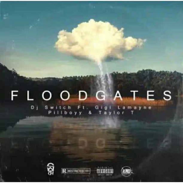 DJ Switch – Floodgates Ft. Gigi Lamayne, Pillboyy & Taylor T 2