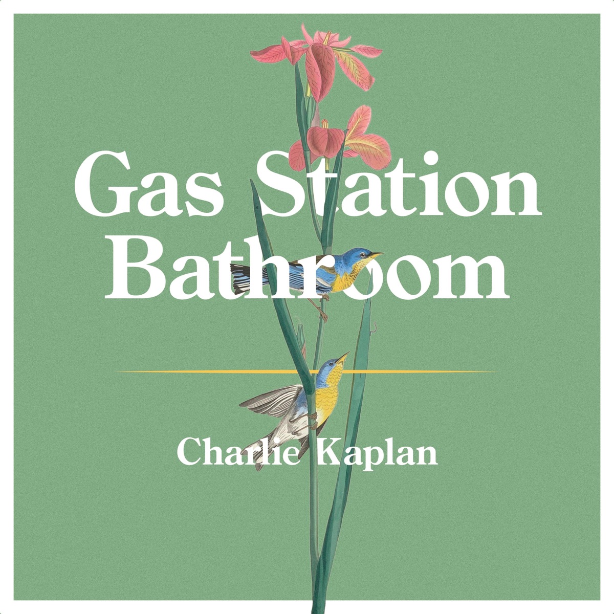 Charlie Kaplan – Gas Station Bathroom 14