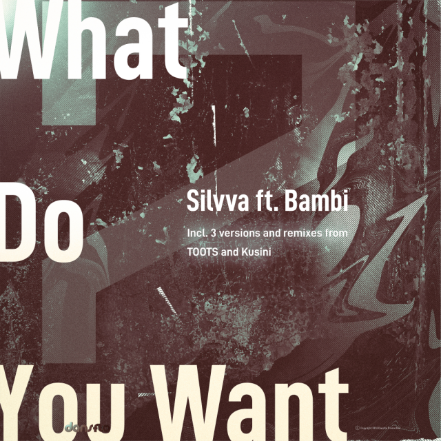 Silvva, Bambi – What Do You Want (Toots Remix) 1