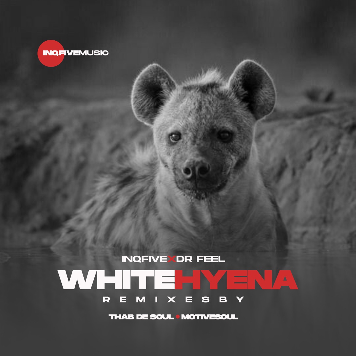 Dr Feel – White Hyena (Thab De Soul Remix) 1