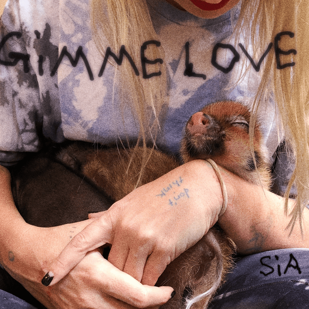 Sia Gimme Love Mp3 Download