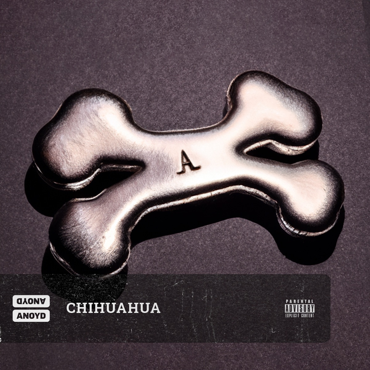 Anoyd – Chihuahua 2