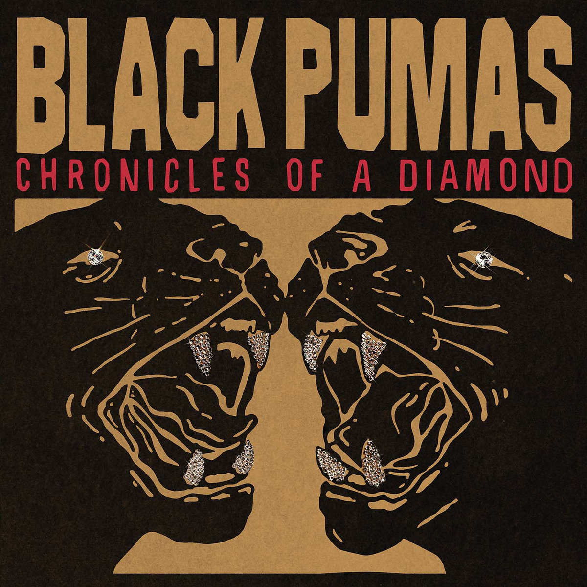 Black Pumas Chronicles of a Diamond Zip Download