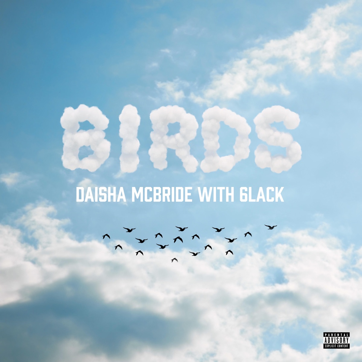 Daisha McBride Birds (Remix) Mp3 Download