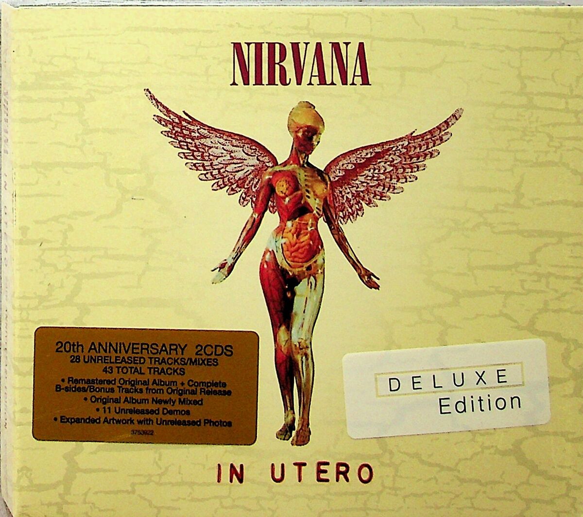 Nirvana In Utero | Bonus Tracks & B-sides Zip Download