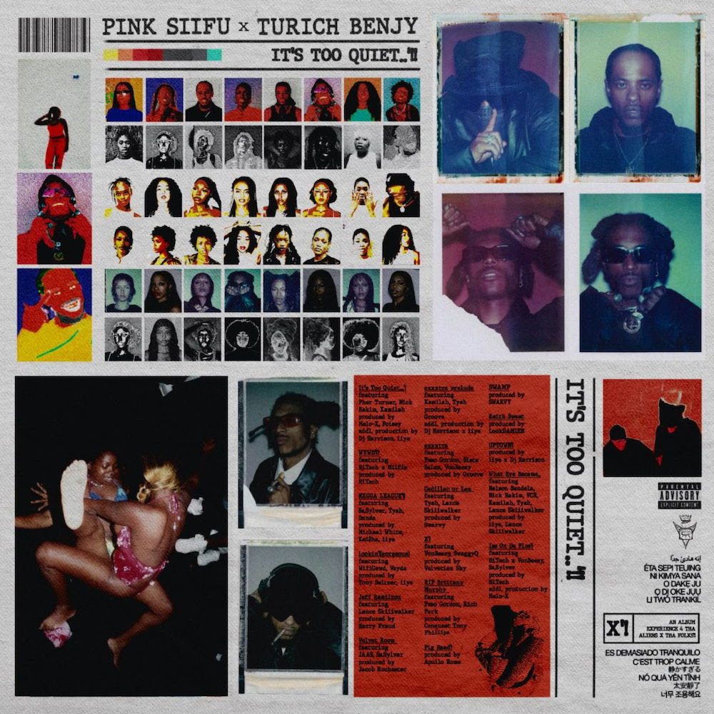 Pink Siifu & Turich Benjy It's Too Quiet…'!! Zip Download