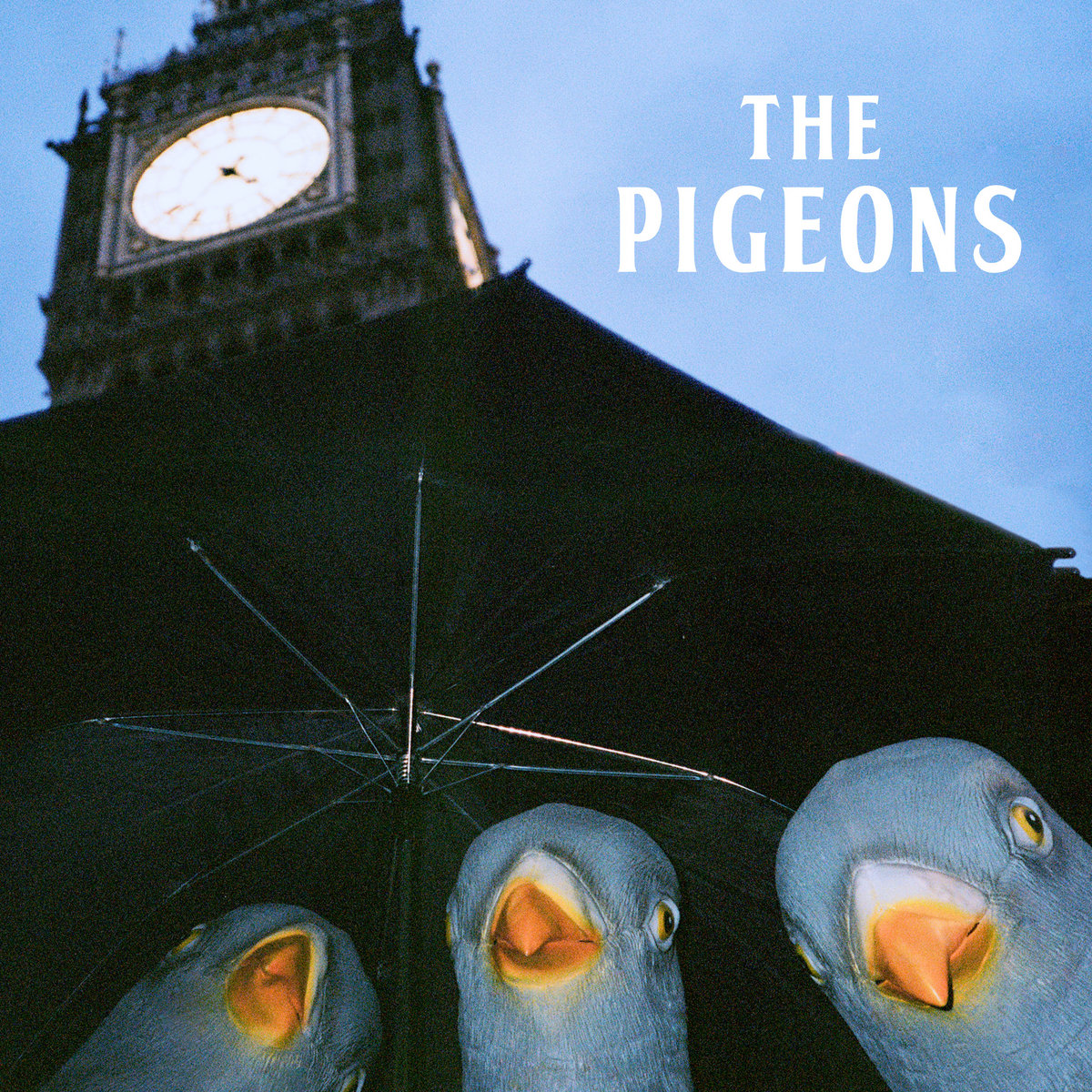 Feeding Pigeonz – The Brown. [Ep] 1