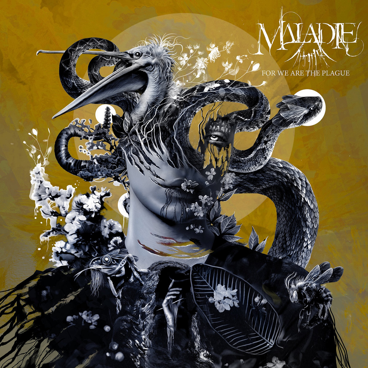 Maladie For We Are Plague Zip Download