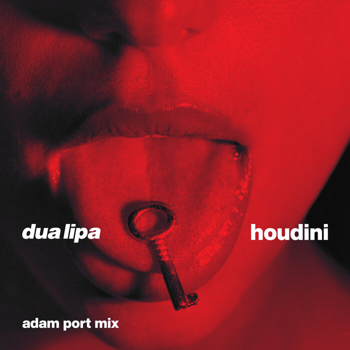 Dua Lipa – Houdini (Adam Port Mix) 3