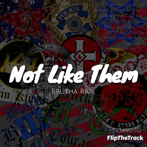 Brutha Rick – Not Like Them 1