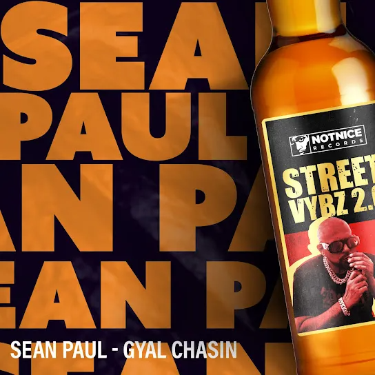 Sean Paul Gyal Chasin Mp3 Download