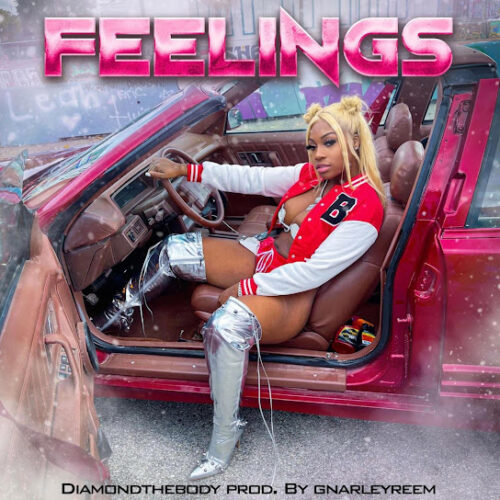 Diamond the Body – Feelings 1