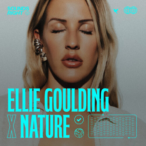 Ellie Goulding Brightest Blue (Nature Remix) Mp3 Download