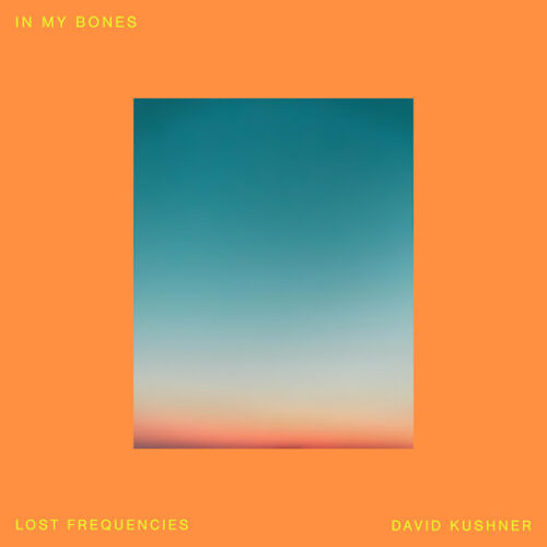 Lost Frequencies In My Bones Mp3 Download