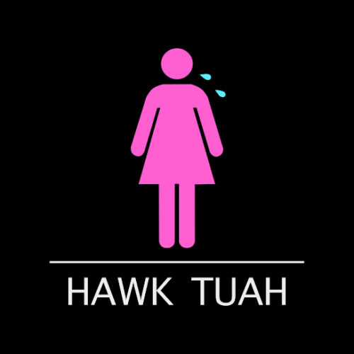 ANTH – Hawk Tuah Ft. Conor Maynard & Corey Nyell 1