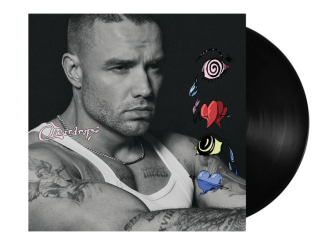 Liam Payne Teardrops Mp3 Download